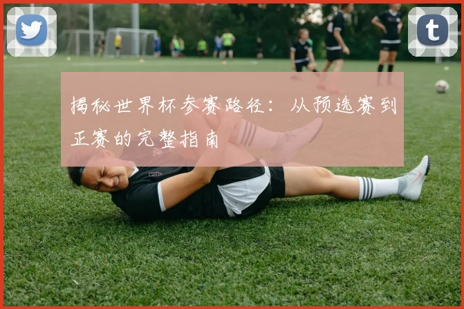 揭秘世界杯参赛路径：从预选赛到正赛的完整指南
