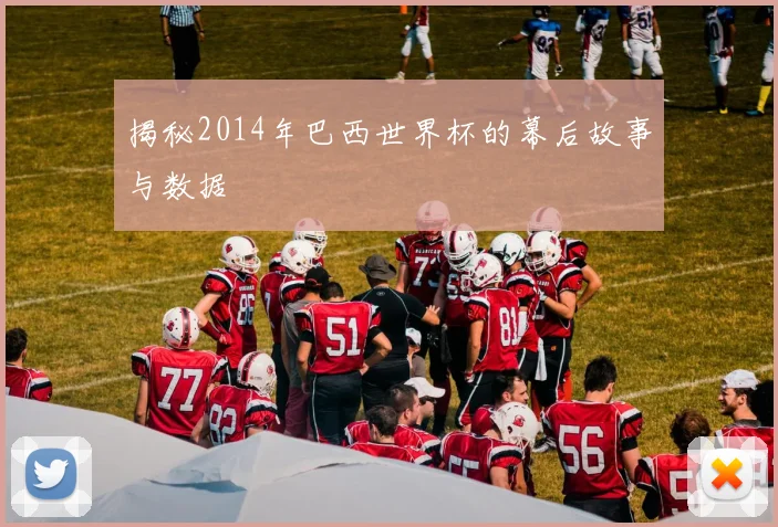 揭秘2014年巴西世界杯的幕后故事与数据